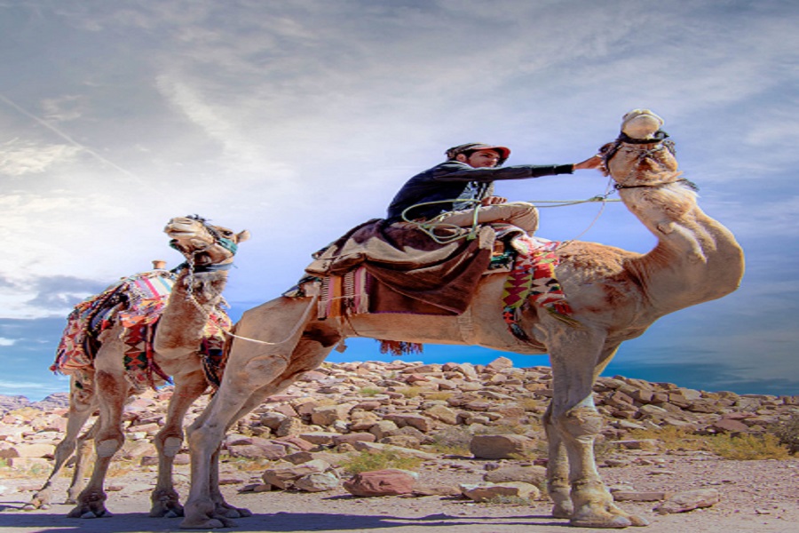 Camel Riding-1